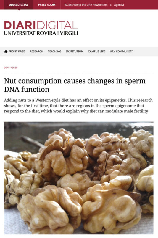 URV（UNIVERSITAT ROVIRA i VILGILI）のニュース記事「Nut consumption causes changes in sperm DNA function」
